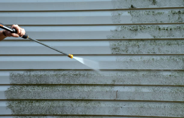 Best Roof Pressure Washing  in Glenview, IL